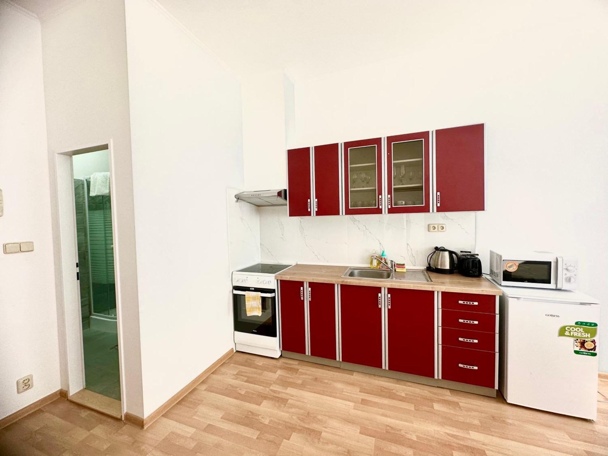 Apartment Erika Karlovy Vary Bilik gambar